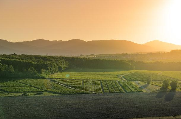 應(yīng)該如何扎實(shí)的自學(xué)攝影測量學(xué)？